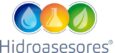 Hidroasesores